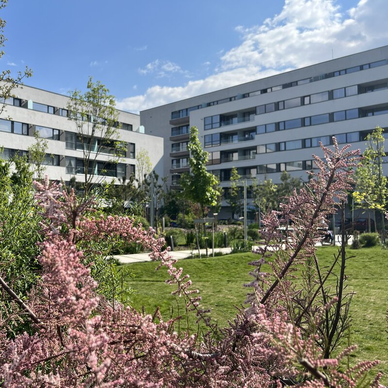 Sector 1, 3 camere, Lacul Straulesti, Mall Colosseum,