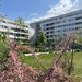 Sector 1, 3 camere, Lacul Straulesti, Mall Colosseum,