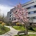 Sector 1, 3 camere, Lacul Straulesti, Mall Colosseum,