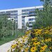 Sector 1, 3 camere, Lacul Straulesti, Mall Colosseum,